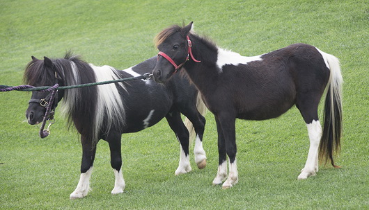 圖片關(guān)鍵詞 圖片關(guān)鍵詞
