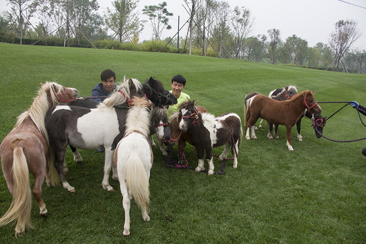 圖片關(guān)鍵詞 圖片關(guān)鍵詞