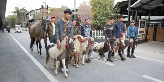 圖片關(guān)鍵詞 圖片關(guān)鍵詞