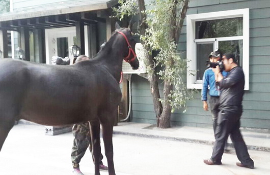 圖片關(guān)鍵詞 圖片關(guān)鍵詞