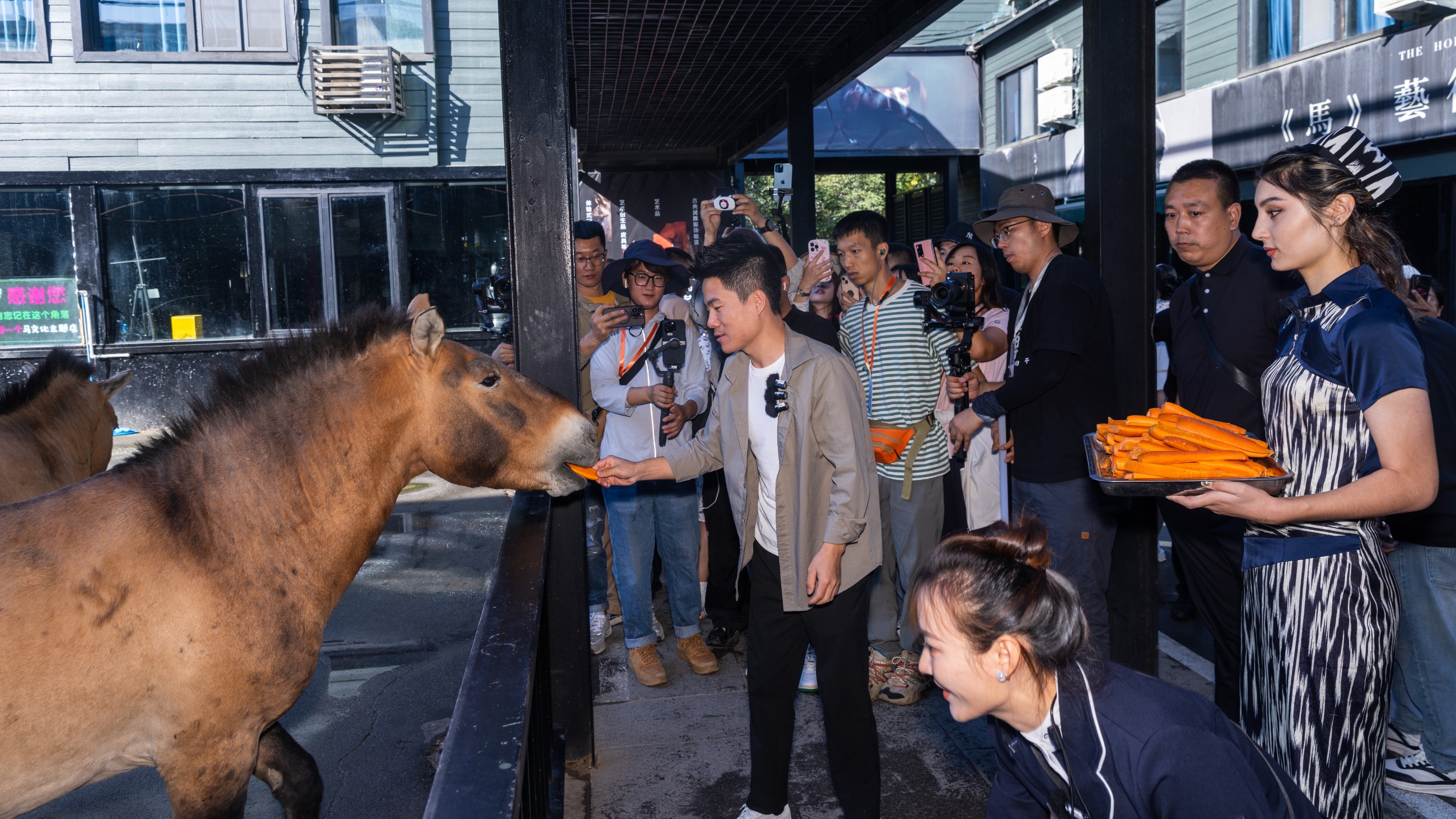 圖片關(guān)鍵詞